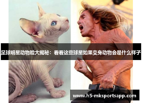 足球明星动物脸大揭秘：看看这些球星如果变身动物会是什么样子