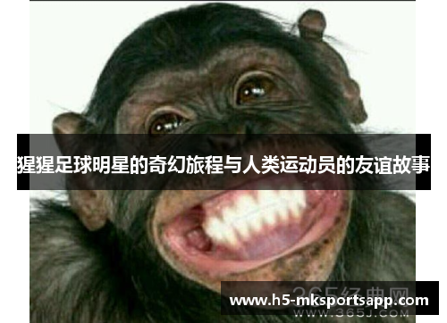猩猩足球明星的奇幻旅程与人类运动员的友谊故事