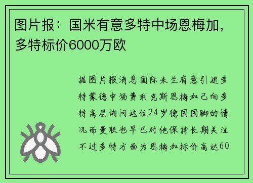 图片报：国米有意多特中场恩梅加，多特标价6000万欧